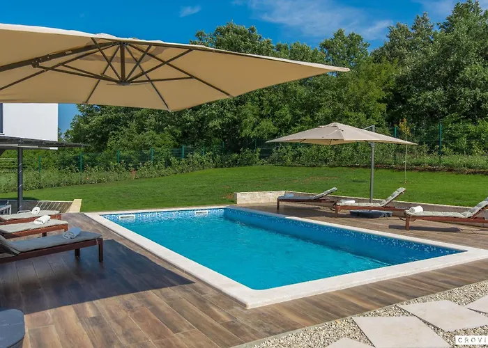 Complex Teca * Petehi