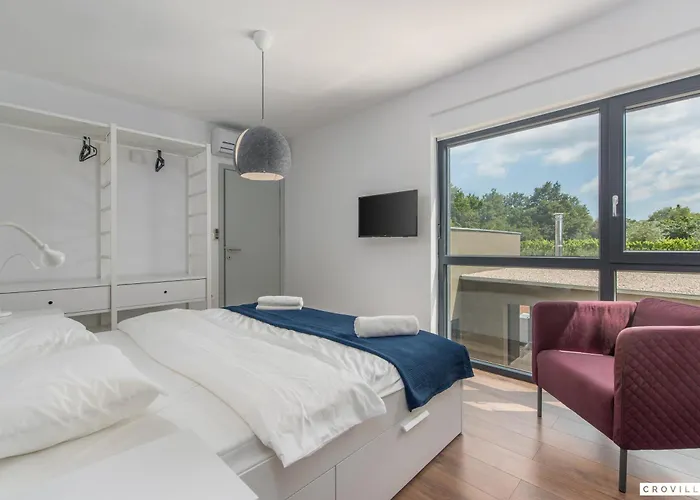 Complex Teca * Petehi