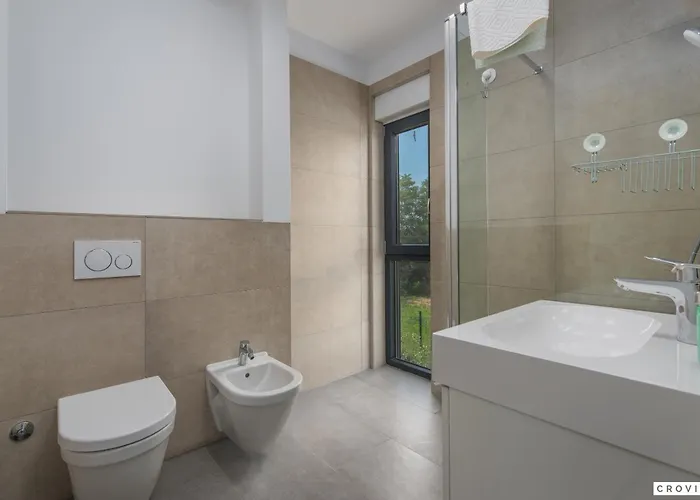 Complex Teca * Petehi